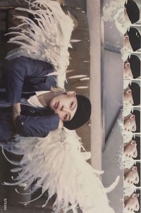 BTL 專輯卡 GAZE ver. 相片