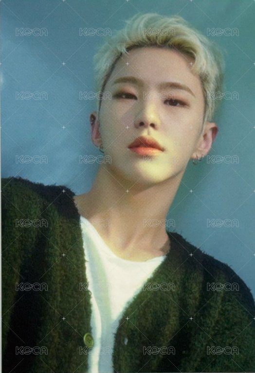 23’博物館 周邊卡 大卡組 正面