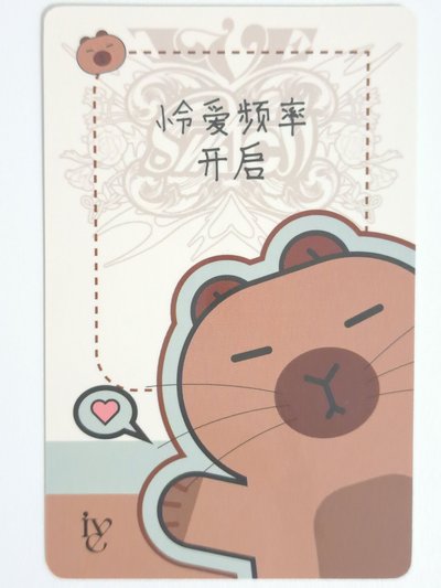 IVE SWITCH yzy 3.0 簽售卡 卡皮巴拉怜 怜爱频率开启