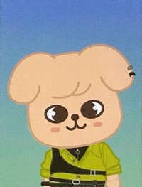 2nd 世巡 周邊卡 skzoo 證件照