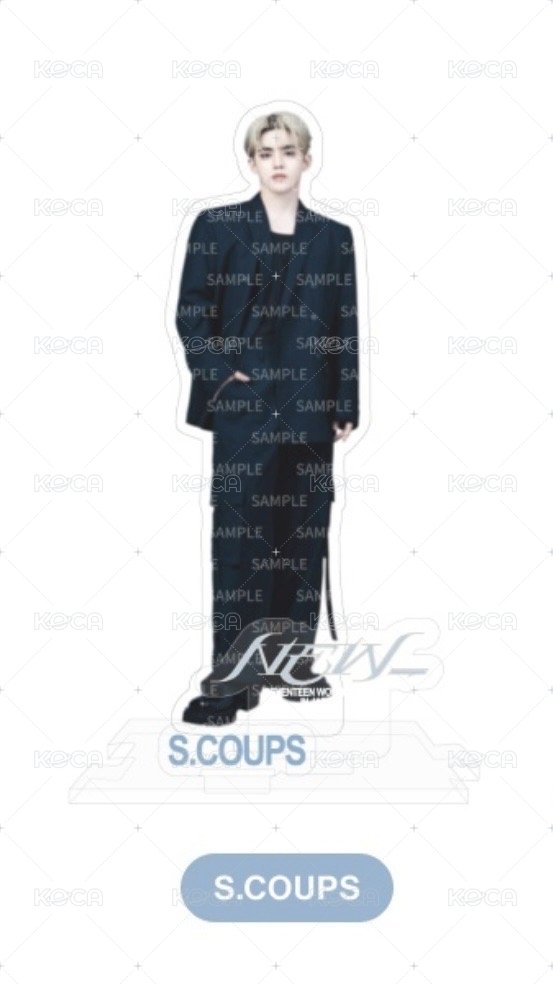 日巡