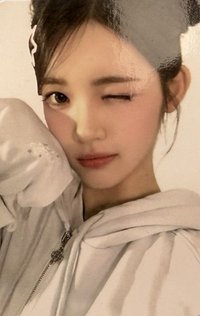 Focus 周邊卡 MD2.0 外套