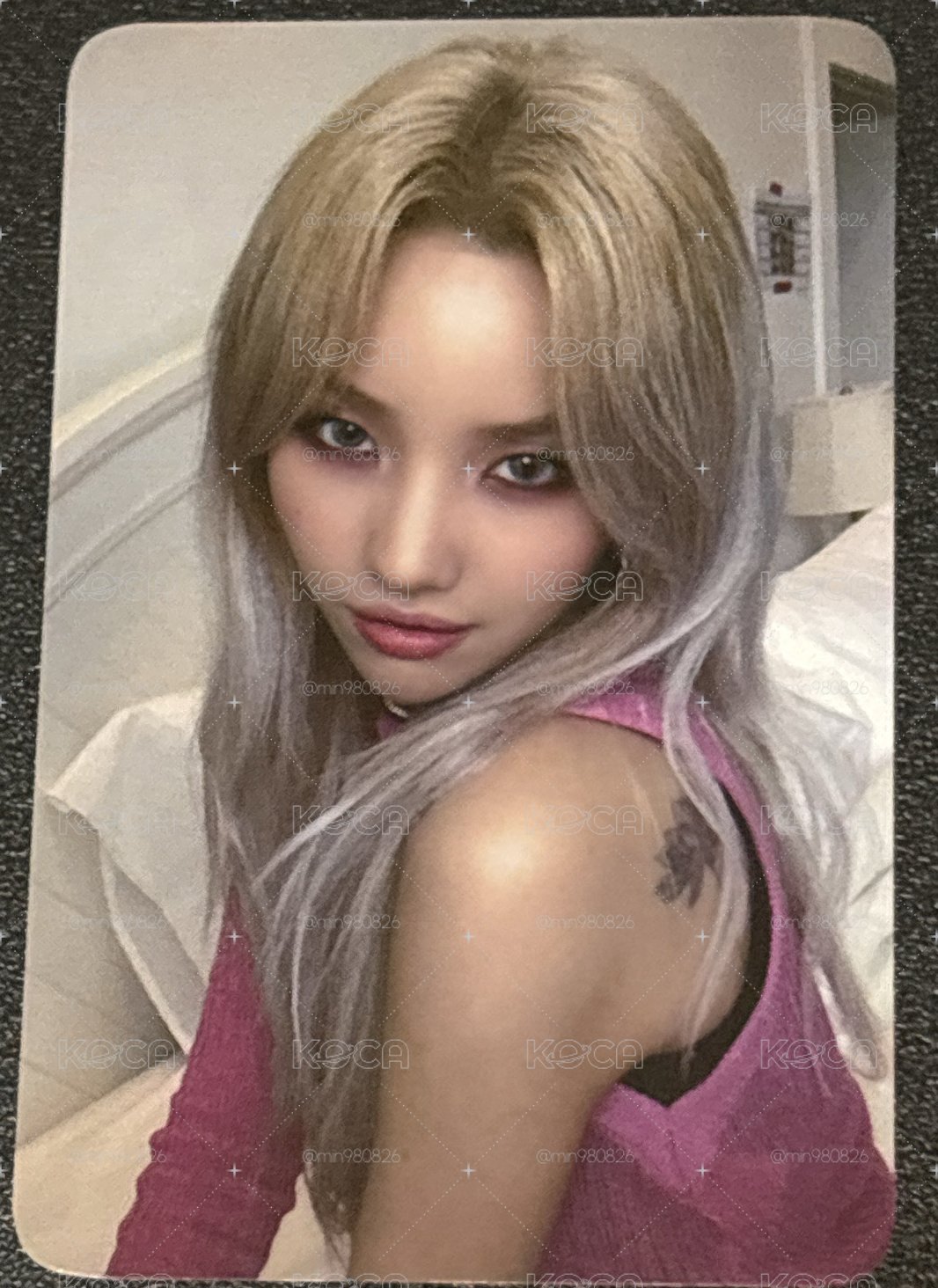 windy 專卡
