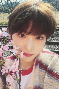 五月雨 (Samidare) 專輯卡 單封專卡