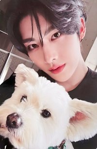 正規一 專輯卡 團封 狗狗 ver.