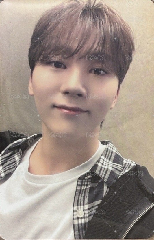 22‘克拉島 演唱會 DVD / CD 卡  正面