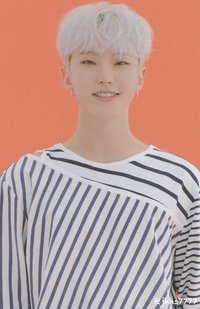 21‘克拉島 隨機卡 21克拉島｜卡包