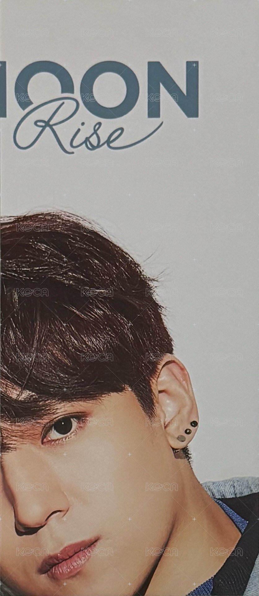 正二 專輯卡  背面