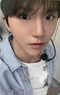 Songbird k4 幸運卡 