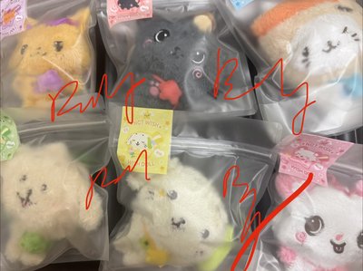 NCT WISH 二販快閃娃 原皮官娃