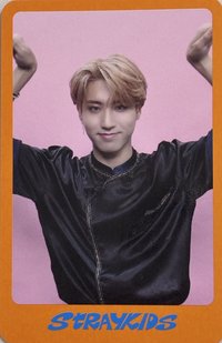 DICON D'FESTA 雜誌卡 