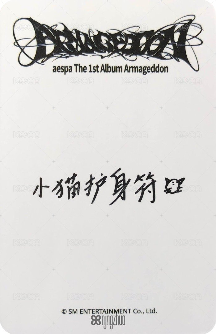 正規一 sr 特典卡 星河預售E寧 背面