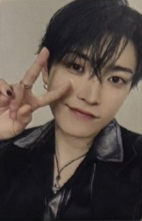 Ashes to Light 專輯卡 Member Solo盤