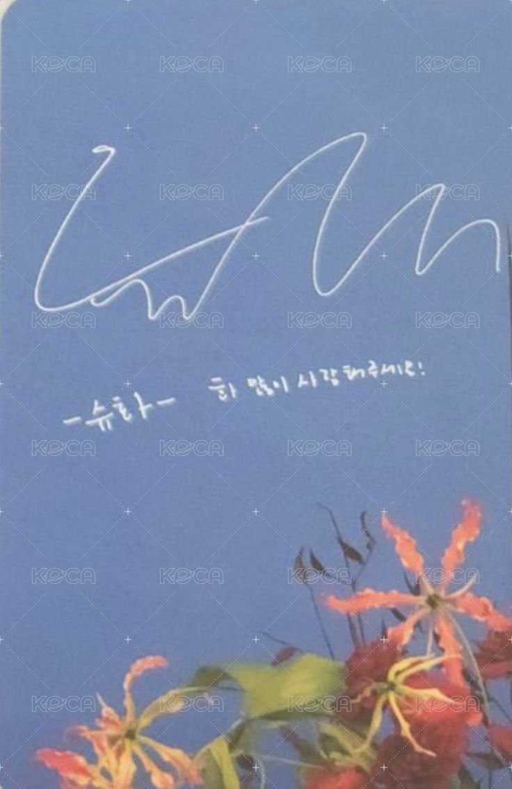 I BURN target 特典卡 美網 背面