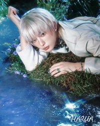 BTL 專輯 HARUA單封