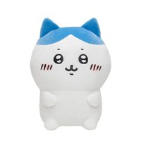 官網 中娃 小八