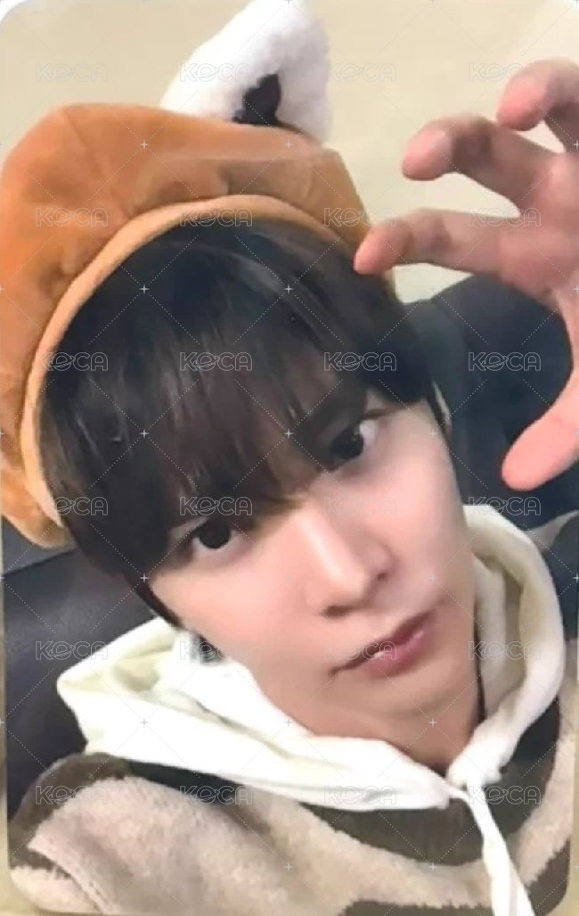 愛寶樂園 周邊卡 小熊卡 正面