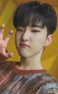 POL 日咖 特典卡 ｜WVS預售特典