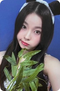 仲夏夜 el 3.0 幸運卡 熊貓竹葉