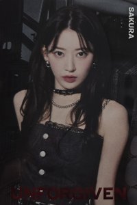 BANDAI 隨機卡 R-17