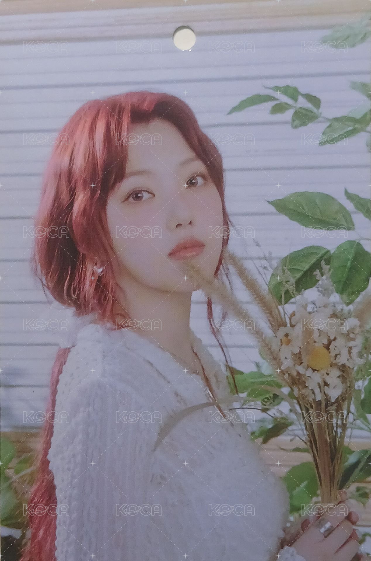 迷三 專輯卡 吊牌 紅版 正面