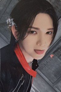 Outlaw MINIRECORD 特典卡 