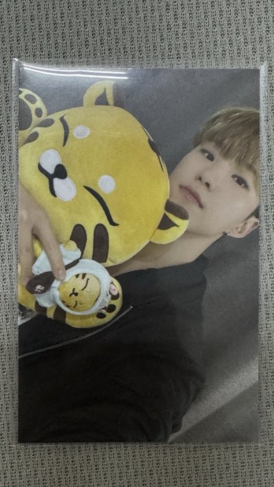 hoshi 成員自製 眈眈小卡