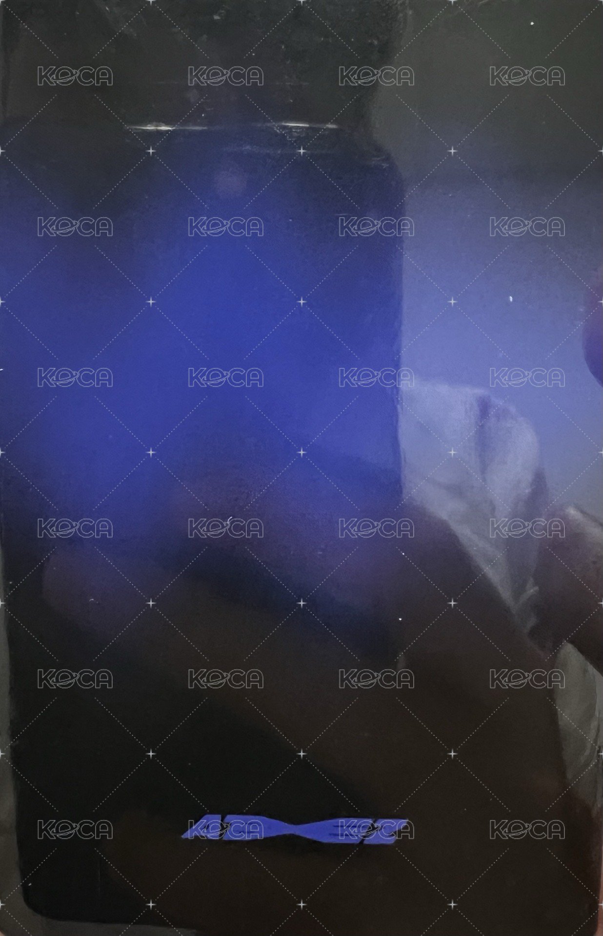 FEVER pt.2 subk 特典卡  背面