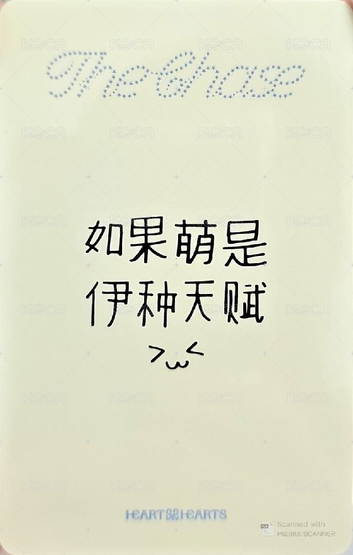 單一 yzy 2.0 特典卡  背面