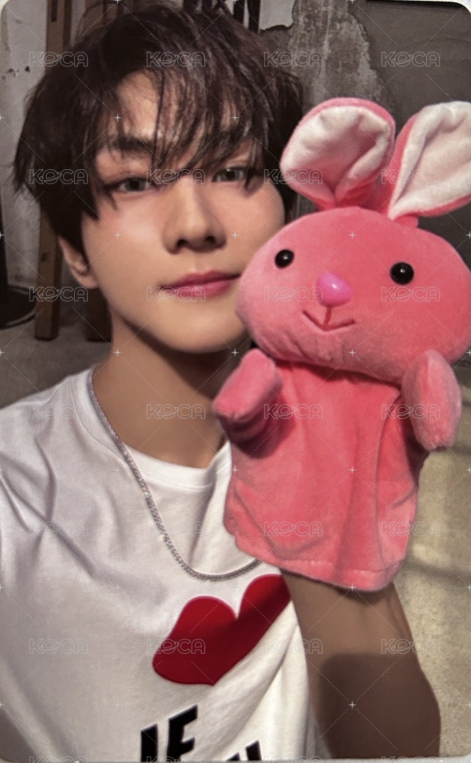 正二 wvs pb 特典卡  正面