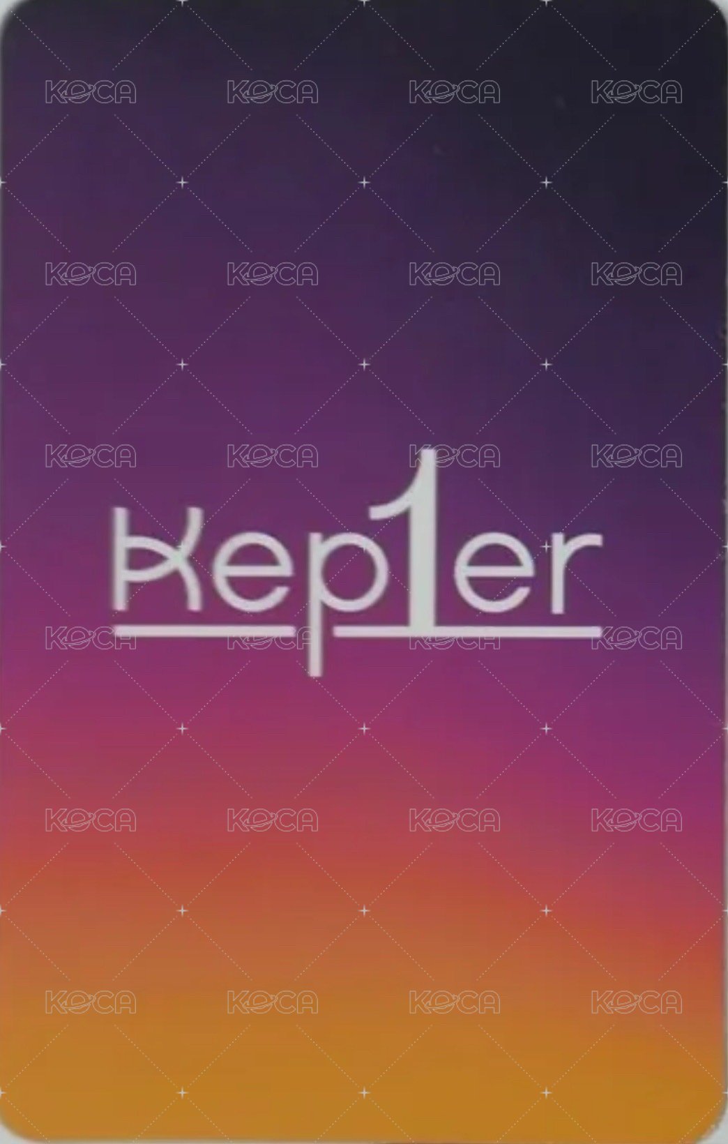 迷一 ms 特典卡  背面