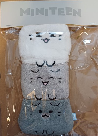 擦手巾俊,立牌俊