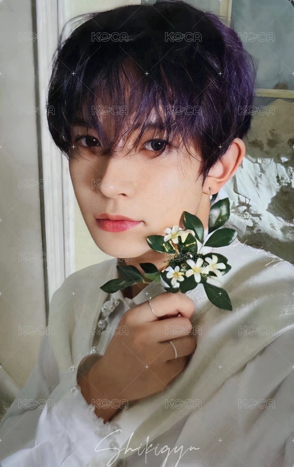 迷五 打歌卡  正面