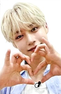 迷四 wm 2.0 特典卡 貓咪愛心 ver.