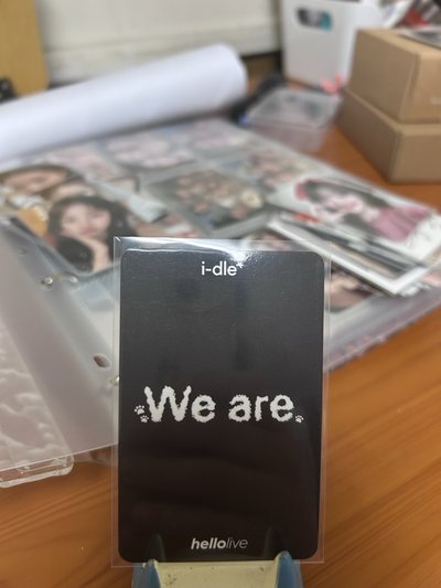 （捆300）迷八 hl 2.0 狗狗麵