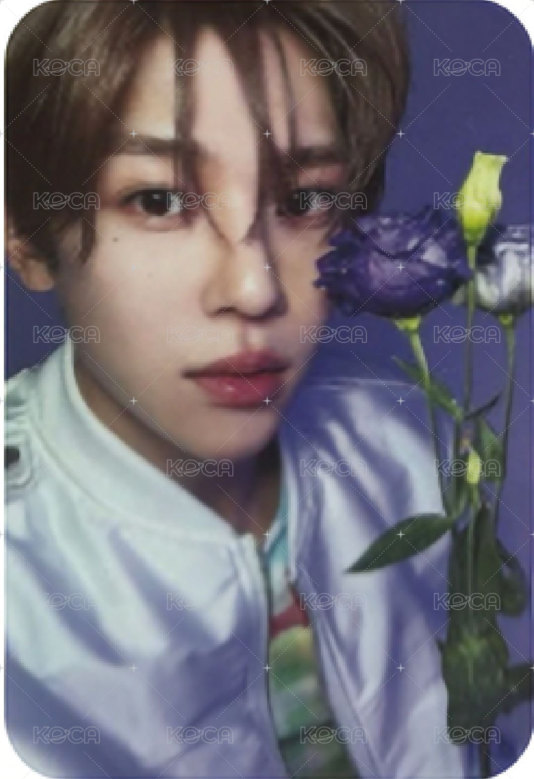 Songbird 專輯卡 Nct Wish Sion  日版專卡 正面