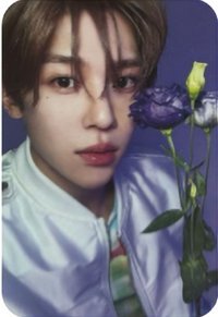 Songbird 專輯卡 Nct Wish Sion  日版專卡