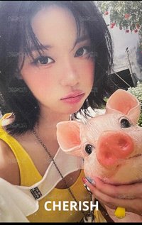 ms冬