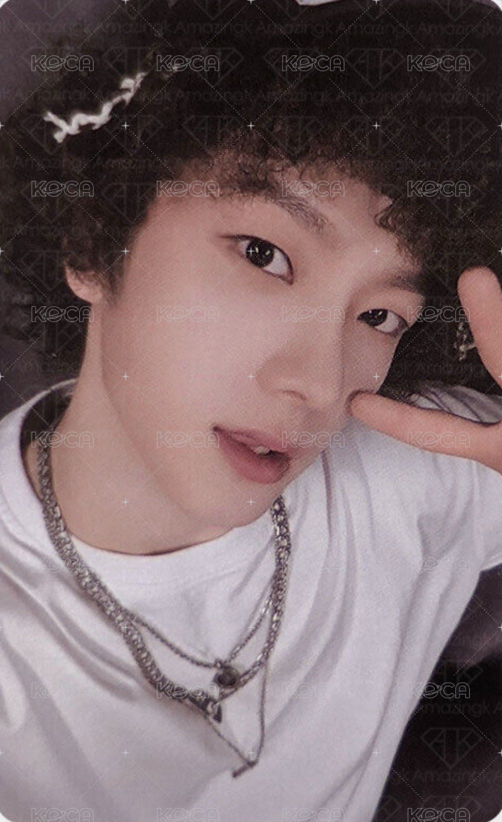 19.99 wvs 直播卡 1 正面