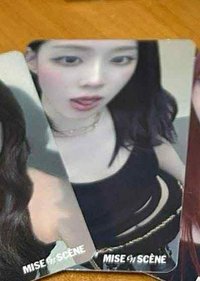 冬（需帶吉寧任意）