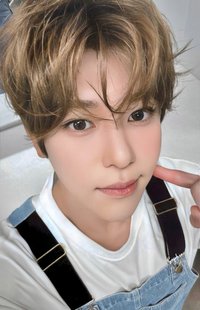 Songbird k4 幸運卡 