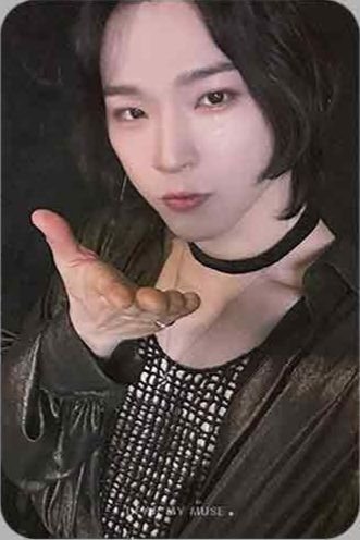 PYGMALION DMM 線下 3.0