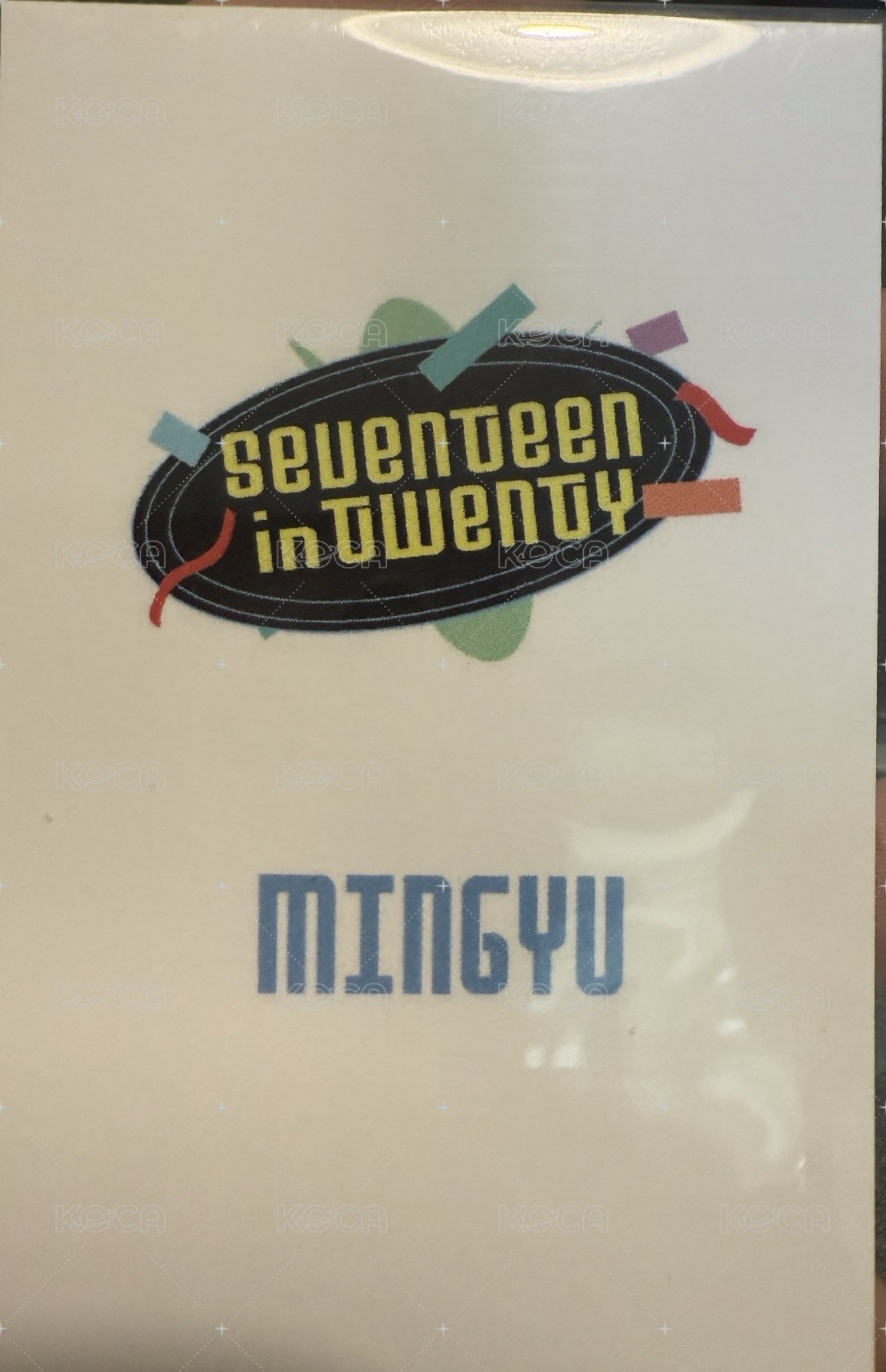 其他 wvs 抽選卡 拳王卡 背面