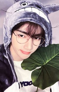 迷二 el 新世界 幸運卡 龍貓 ver.