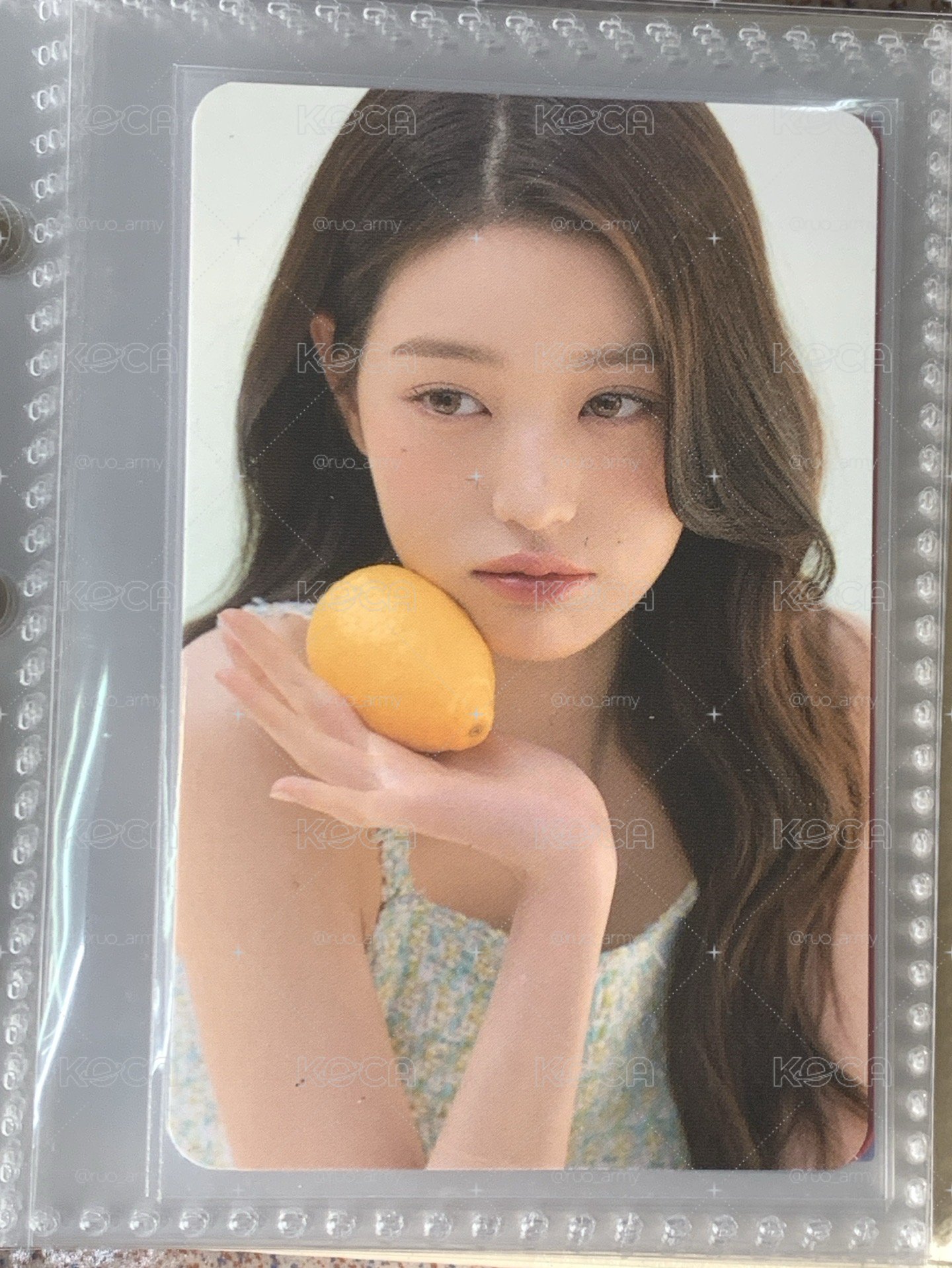 張員瑛小卡✨