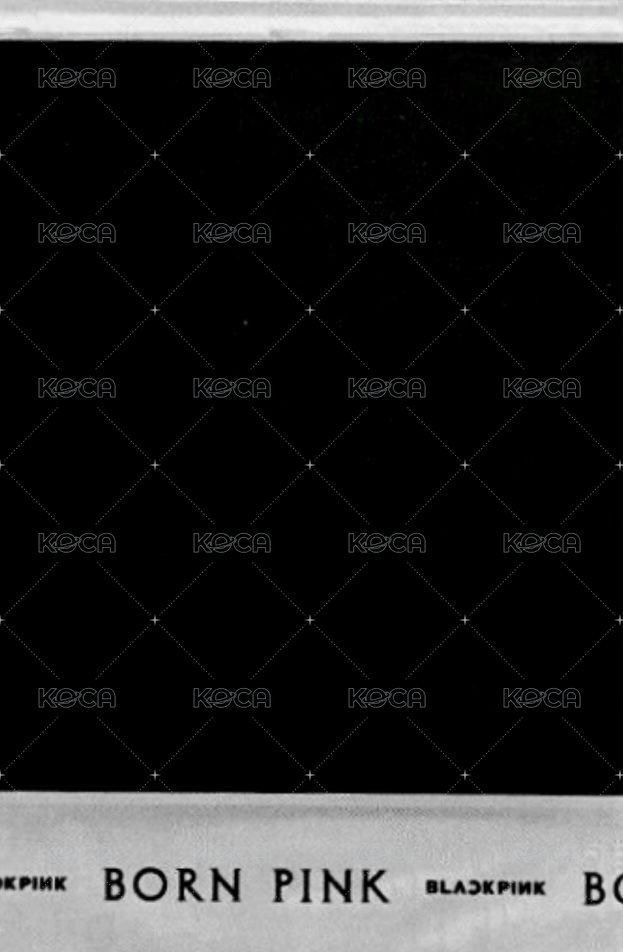 BORN PINK 專輯卡 Gray ver.Pola B ver. 背面