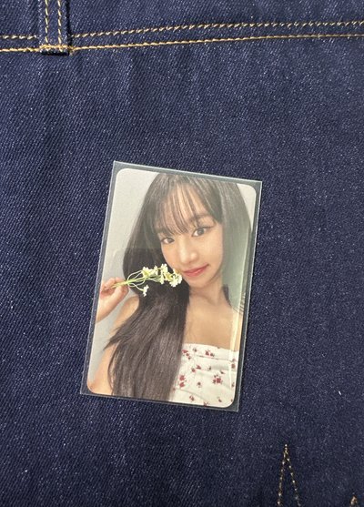 224 ms 台北 簽售卡 雛菊 ver. Natty