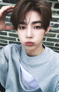 正規一 mnet 特典卡 狗耳 ver.