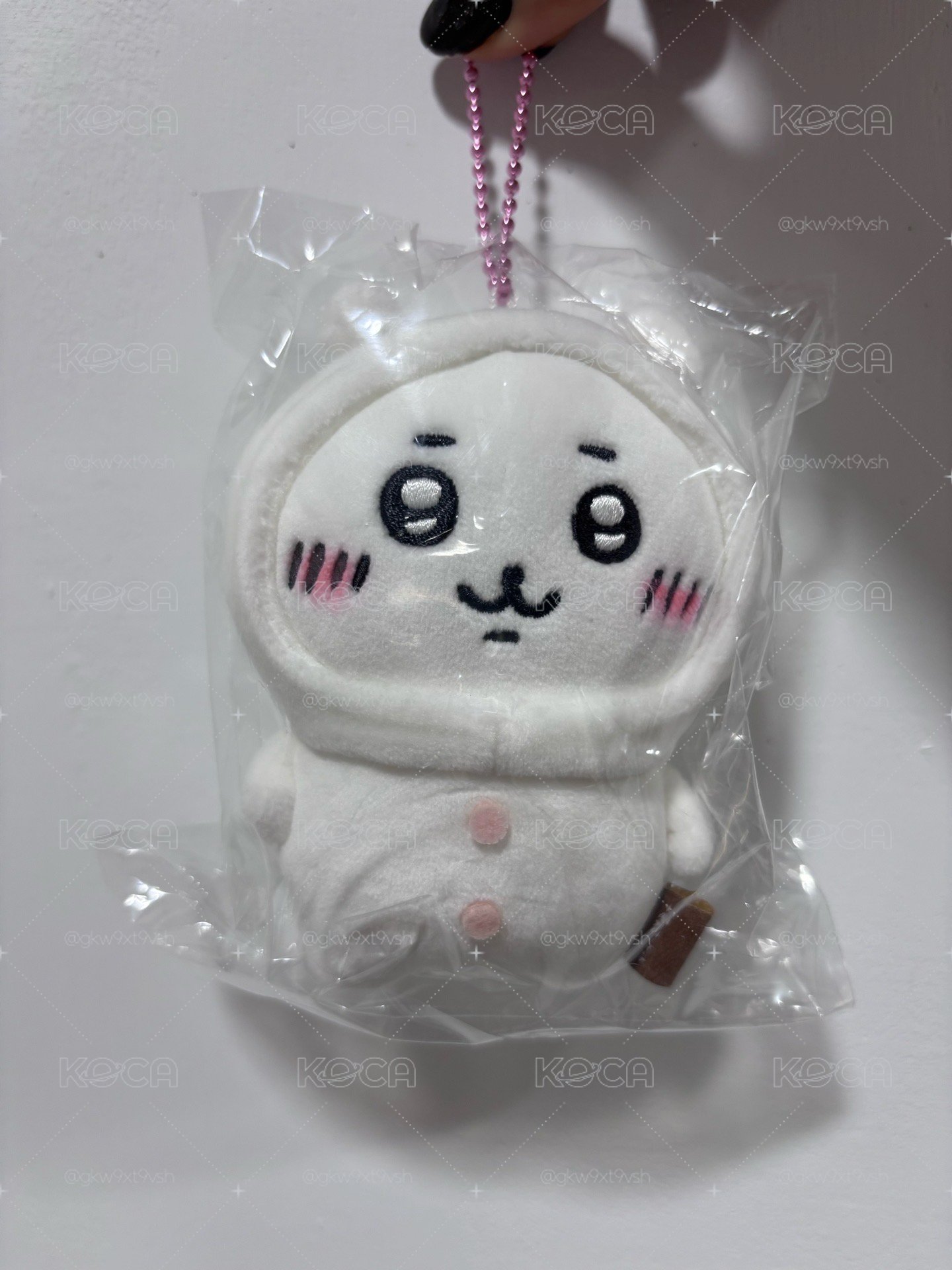 自嘲熊吉伊