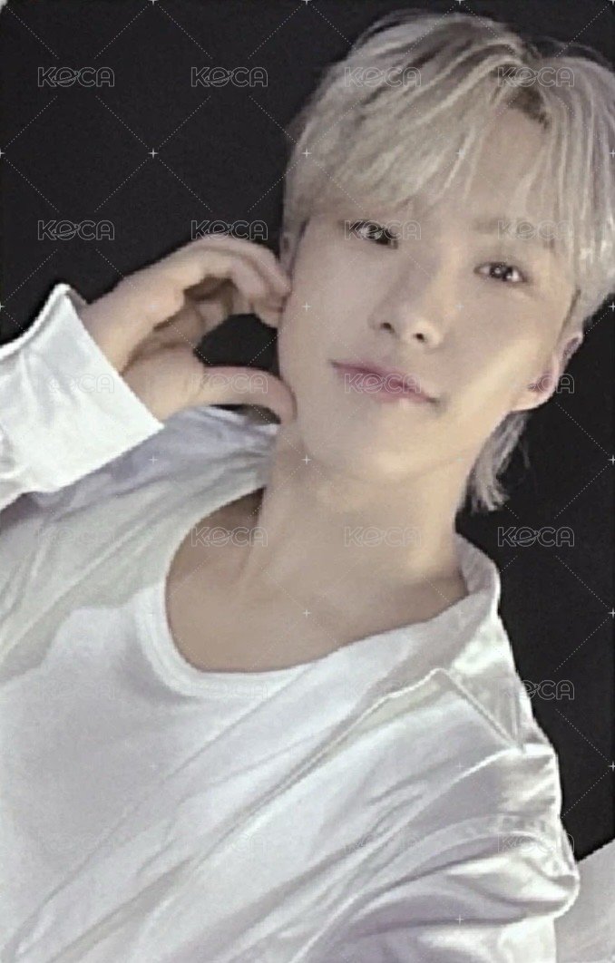 MINI12 wvs PB ver 特典卡  正面